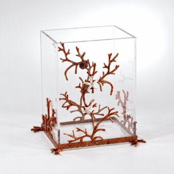 Luxury Selezioni Domus Corallo bathroom set in transparent glass and synthetic enclosure with rigid metallic base display