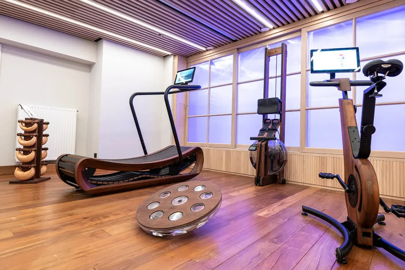 Home gym interior with Waterrower bike, treadmill, weight rack, hardwood floors, beige walls, wood accents, and landscape displays on televisions.