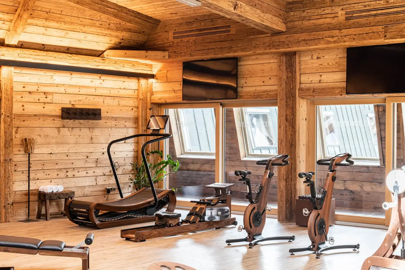 Home gym with Waterrower rowing machine on wood platform, wood wall paneling, treadmill, bike, Pilates reformer, and natural light.