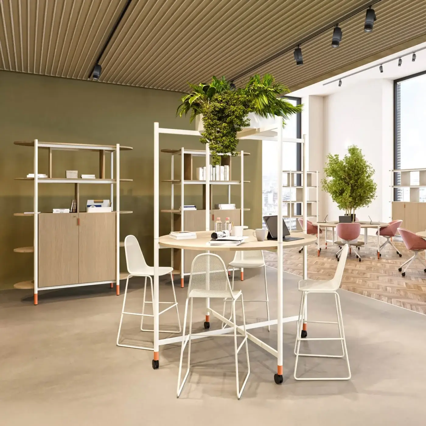 New Brand! Discover CODUTTI