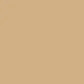 Muted beige monochromatic field, matte surface, uniform color, simple composition, neutral tone, light sand hue, taupe background, solid color.