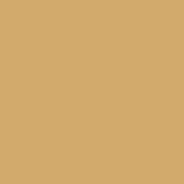 Warm tan color field, matte finish, even lighting, plain background, uniform tone, no texture, diffuse studio setting, neutral composition.