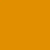 Golden-orange solid color background, matte finish, uniform tone, flat composition, no texture, consistent hue, simple visual structure.