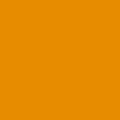 Solid orange field, warm saturated matte hue, uniform unbroken color expanse, no texture or design elements present in composition.