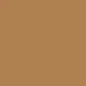 Warm brown color field, matte finish, uniform tone, reddish hue, solid background, neutral composition, seamless texture, digital swatch.