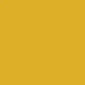 Ochre color field, matte finish, warm yellow and brown tones, uniform surface, even lighting, consistent color, no texture or variations present.