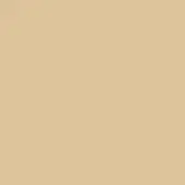 Beige monochromatic composition, warm sandy tone with subtle saturation variations, matte finish, uniform surface, simple backdrop.