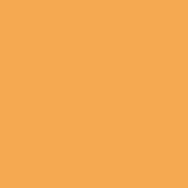 Terracotta orange color field, matte finish, solid tone, uniform composition, saturated mid-tone hue, simple background, full frame view.