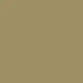 Monochromatic brown composition, matte taupe surface, uniform color field, simple visual structure, neutral earthy tone, solid background.