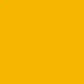Warm yellow color field, matte finish, minimalist composition, uniform tone, flat surface, simple backdrop, saturated hue, no texture visible.