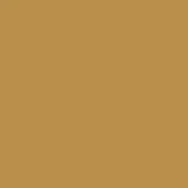 Warm brown solid color background, matte finish, even lighting, consistent surface, neutral tone, digital graphic, no texture or pattern visible.