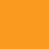 Solid orange field, warm saturated tone, uniformly colored matte surface, smooth texture, no gradients or patterns, simple composition.
