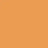 Terracotta color field, matte finish, monochromatic backdrop with uniform tone and no texture, simple composition, warm neutral palette.