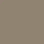 Warm gray-brown color field with a matte, uniform surface and diffuse lighting, presenting a flat, neutral composition without texture or pattern.