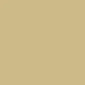 Muted beige monochromatic field, warm tan tone, matte surface, simple composition, uniform color, no texture, neutral background, solid color.