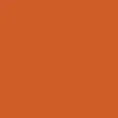 Burnt orange matte background, uniform color field, even lighting, plain studio backdrop, no texture or discernible shapes present in composition.