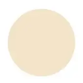 Beige circle graphic, matte finish, centered on white background, smooth surface, simple composition, studio isolated element, neutral tone.