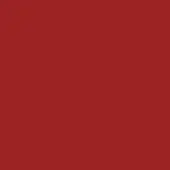 Solid red color field, muted terracotta tone, matte finish, uniform composition, even lighting, flat visual structure, unbroken expanse.