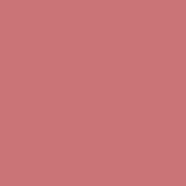 Terracotta color field, matte finish, uniform tone, smooth surface, diffuse lighting, even composition, no texture, solid background.