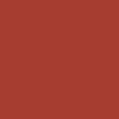 Terracotta color field, matte finish, uniform tone, solid background, consistent saturation, no texture, simple composition, neutral color study.