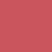 Terracotta red solid color background, matte finish, uniform surface with no pattern or texture, flat composition, digital color swatch.
