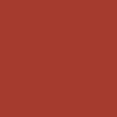 Terracotta red solid color background, uniform matte finish, consistent hue, no texture or design elements, simple visual composition.