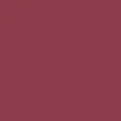 Deep burgundy color field, matte finish, uniform tone, solid background, full frame composition, dark red hue, simple visual structure.