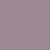 Mauve solid color background, matte finish, uniform tone, consistent surface, even lighting, no texture, neutral composition, flat visual structure.
