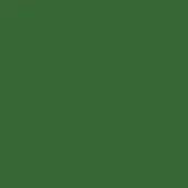 Dark green monochromatic field with a matte finish and uniform tone, presenting a simple, solid color composition without texture or design elements.