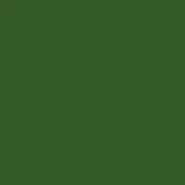 Monochromatic dark olive green background with a uniform matte finish and simple composition, presenting a solid color field without texture.