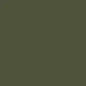 Solid olive-green color field, matte finish, uniform tone, smooth surface, diffuse lighting, consistent color, no texture or pattern visible.