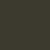 Dark brown monochromatic composition, smooth matte surface, uniform tone, consistent color field, lacking texture or design elements, simple visual structure.