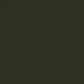 Solid olive-green background with a smooth, matte texture and uniform tone, presenting a monochromatic and seamless visual composition.
