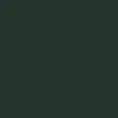 Solid dark green color field, muted forest green hue, uniform matte texture, saturated background, simple composition, full frame presentation.