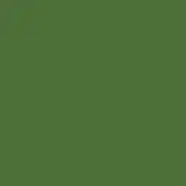 Monochromatic dark olive green background with a matte finish, presenting a uniform color field and simple, uncluttered visual structure.