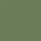 Solid olive-green color field, matte finish, consistent tone, smooth surface, no texture or pattern, uniform composition, neutral background.