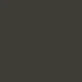 Monochromatic dark gray field with uniform matte texture, presenting a solid color composition and consistent tone throughout the visual space.