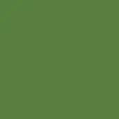 Olive green monochromatic background with a matte finish and uniform color distribution, presenting a simple, solid visual field.