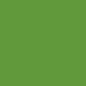Monochromatic olive green background with a matte finish, presenting a uniform color field and simple, uncluttered visual structure.
