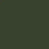 Solid olive-green color field, matte finish, uniform tone, smooth surface, diffuse lighting, consistent color, no texture or pattern visible.