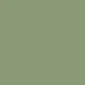 Solid green color field, muted tone, consistent lightness, diffuse lighting, uniform surface, no texture or pattern, simple composition.