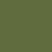 Solid olive-green background with a matte finish, uniform tone, and consistent color throughout the composition, lacking texture or design elements.