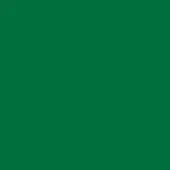 Deep forest green solid color background, uniform saturated tone, even lighting, flat composition, digital graphic, no texture or branding visible.