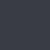 Solid gray background with consistent tone and even lighting, presenting a uniform color field devoid of texture, patterns, or visible markings.