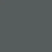 Dark gray matte background with consistent tone and even lighting, displaying a flat, untextured composition and uniform color throughout the frame.