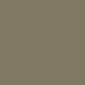 Monochromatic taupe background with a matte finish, displaying a uniform, solid color field and minimal visual texture throughout the composition.