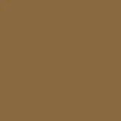 Uniform brown field, medium earthy tone, flat matte finish, even lighting, digital graphic, no texture or variations, solid color background.