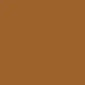 Warm brown color field, matte finish, uniform tone, digital graphic, consistent shade, plain background, solid color, neutral composition.