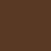Muted brown color field, flat matte surface, consistent tone, diffused lighting, no texture or pattern, uniform composition, neutral background.