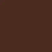 Dark brown matte color field, uniform tone, consistent texture, simple background swatch, no gradients or sheen, neutral composition.